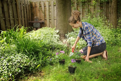 Close-up of precise lawn edging in Hayes