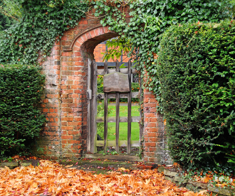 garden hedges