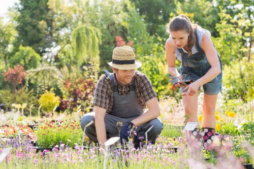 Seasonal lawn care services being performed