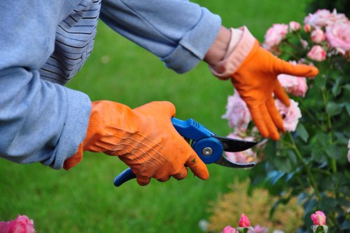 Expert spraying fertilization on a lush Hayes lawn